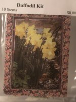 Flower Kit Daffodil Pink/White 10 Stems by Paula Gilhooley