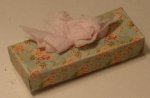 Tissue Box #25 by Alice Gegers