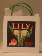 Designer Gift Bags Lily set of 2 by Patricia Hopkins