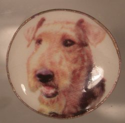 Dog China Plate #3 By Barb