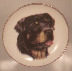 Dog China Plate #7 By Barb