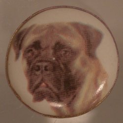 Dog China Plate #21 By Barb