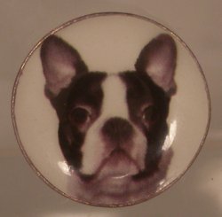 Dog China Plate #24 By Barb