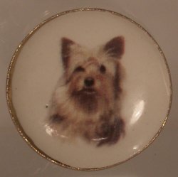 Dog China Plate #25 By Barb