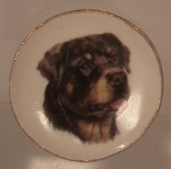 Dog China Plate #27 By Barb
