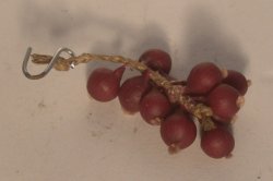 Red Onion String by Linda Cummings