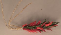 Red and Green Pepper Chili String by Linda Cummings