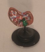Liver Model