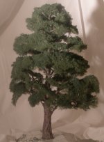 Tree #1 Alder by Christine Dell'Anna