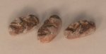 Bakery Item #9 by Haga Ichiyoh
