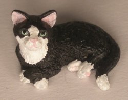 Cat #3 by David Ward