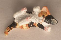 Cat #5 by David Ward