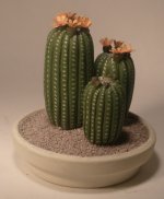 Cacti in Bloom Orange by Karl Blindheim