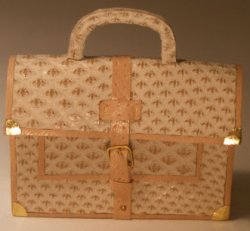 Exotic Skin Cream Briefcase by Jose Gomez