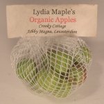Sack of Apples by Orsolya Skulteti