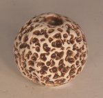 Coral Collection Vase Brown by Alex Meiklejohn