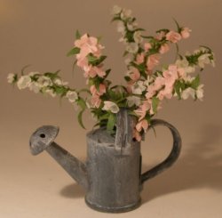 Watering Can w/Bell Flowers by Brigitte Delage