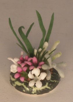 Dish Garden by Artistic Florals