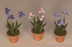 Set of 3 Iris in Clay Pots #2 by Artistic Florals