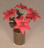Poinsettia #1 by Artistic Florals