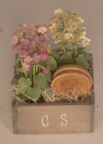 Flowers Pots in Crate #1 by Chantal Siguret