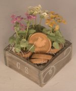 Flowers Pots in Crate #3 by Chantal Siguret