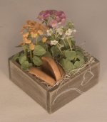 Flowers Pots in Crate #4 by Chantal Siguret