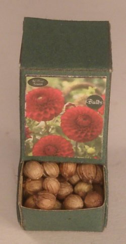 Flower Bulb Display #1 by Shepherds