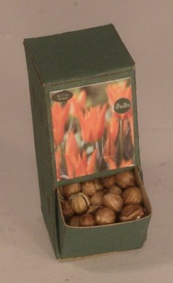 Flower Bulb Display #2 by Shepherds