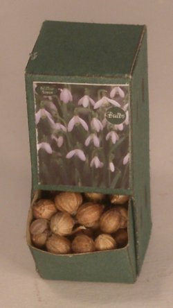 Flower Bulb Display #3 by Shepherds