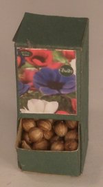 Flower Bulb Display #5 by Shepherds