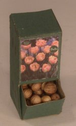 Flower Bulb Display #6 by Shepherds