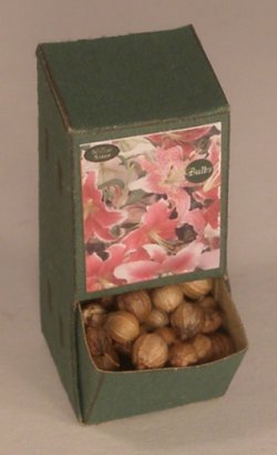 Flower Bulb Display #7 by Shepherds