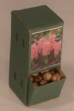 Flower Bulb Display #9 by Shepherds