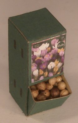 Flower Bulb Display #10 by Shepherds