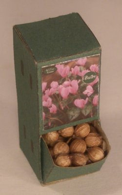Flower Bulb Display #11 by Shepherds