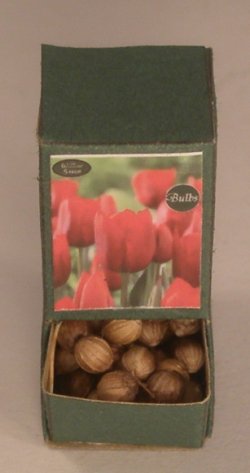 Flower Bulb Display #13 by Shepherds