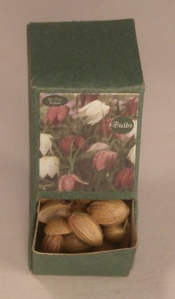 Flower Bulb Display #14 by Shepherds