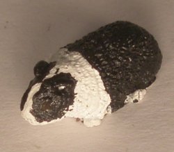 Guinea Pig #1 by David Ward