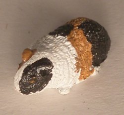 Guinea Pig #2 by David Ward