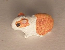 Guinea Pig #4 by David Ward