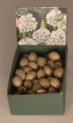Flower Bulb Bin #2 by Shepherds