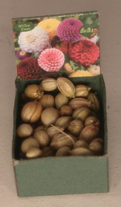Flower Bulb Bin #3 by Shepherds