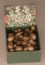 Flower Bulb Bin #4 by Shepherds