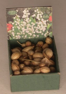 Flower Bulb Bin #4 by Shepherds