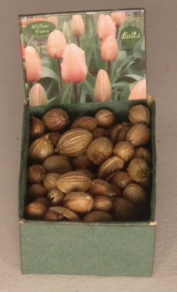 Flower Bulb Bin #5 by Shepherds