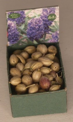 Flower Bulb Bin #6 by Shepherds