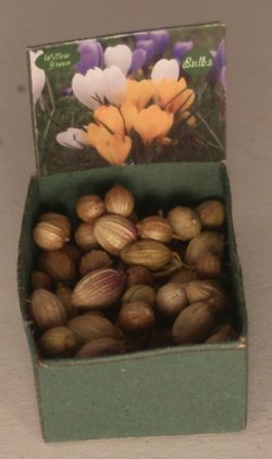 Flower Bulb Bin #7 by Shepherds