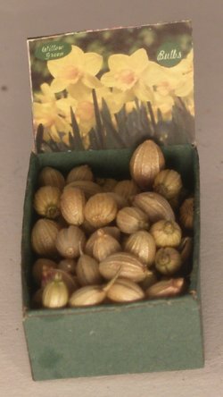 Flower Bulb Bin #8 by Shepherds