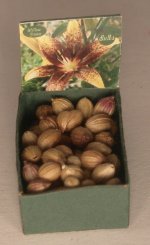 Flower Bulb Bin #10 by Shepherds